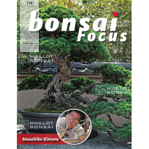 bonsai-focus-n-118