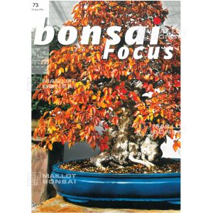 bonsai-focus-n-73