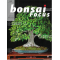 BONSAI FOCUS N° 122