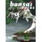 BONSAI FOCUS N° 72