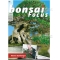 Bonsai focus magazine 89