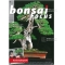 BONSAI FOCUS N° 93