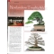 Bonsai focus magazine 86 March/April 2016