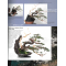 BONSAI FOCUS N° 118