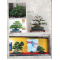 BONSAI FOCUS N° 131