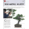 BONSAI FOCUS N° 122