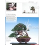 BONSAI FOCUS N° 93