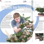 BONSAI FOCUS N° 90