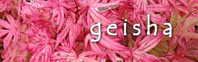 Coloris superbe pour geisha